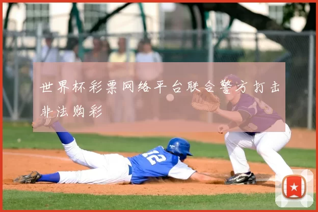 世界杯彩票网络平台联合警方打击非法购彩
