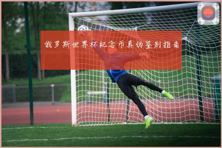 俄罗斯世界杯纪念币真伪鉴别指南