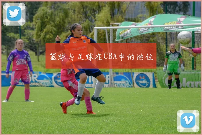 篮球与足球在CBA中的地位