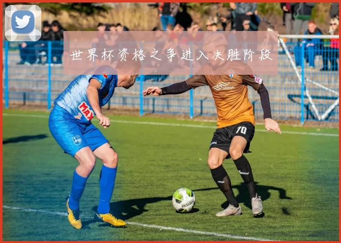 世界杯资格之争进入决胜阶段