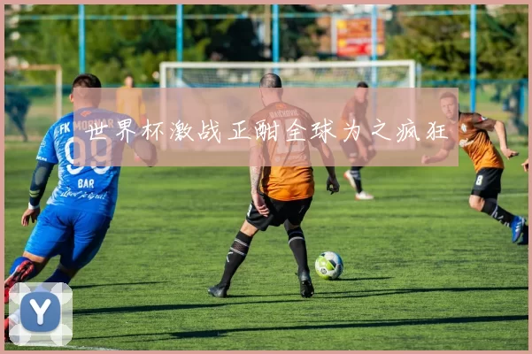 世界杯激战正酣全球为之疯狂