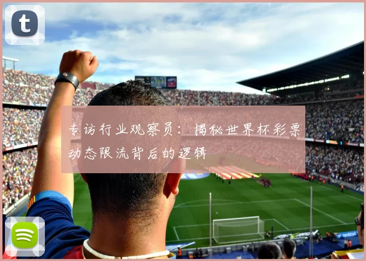 专访行业观察员:揭秘世界杯彩票动态限流背后的逻辑
