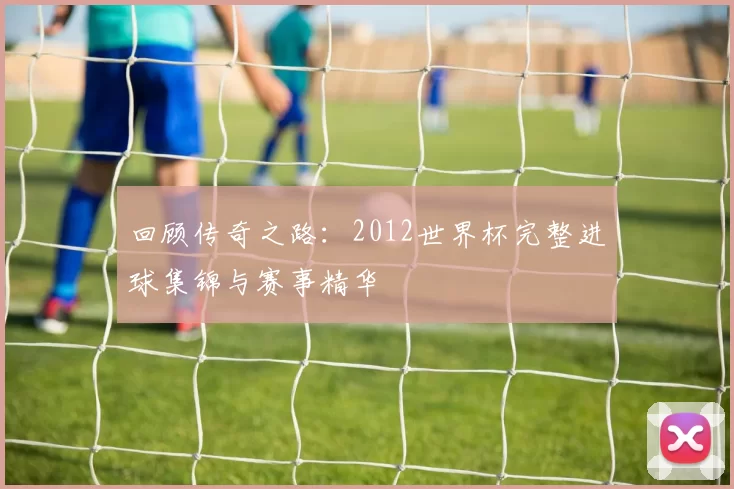 回顾传奇之路:2012世界杯完整进球集锦与赛事精华