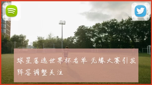 球星落选世界杯名单 无缘大赛引发阵容调整关注