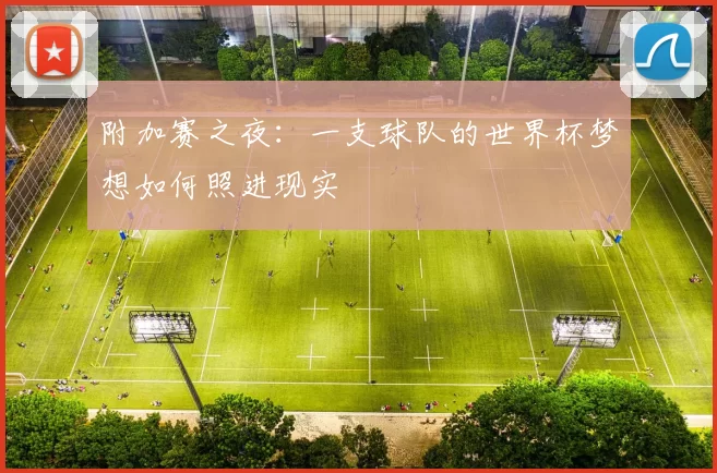 附加赛之夜：一支球队的世界杯梦想如何照进现实