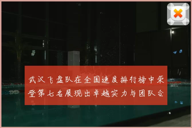 武汉飞盘队在全国速度排行榜中荣登第七名展现出卓越实力与团队合作精神