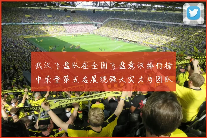 武汉飞盘队在全国飞盘意识排行榜中荣登第五名展现强大实力与团队精神